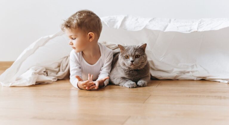 kleinkind mit katze liegen zuhause auf dem boden unter einer decke